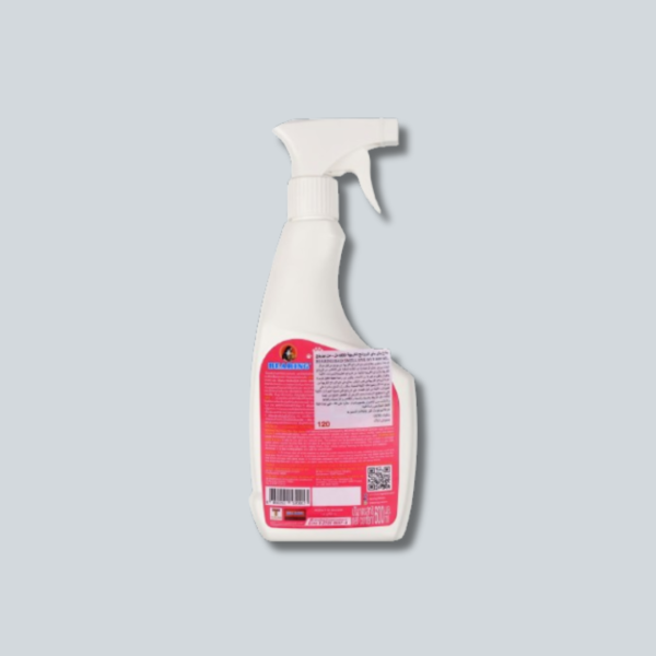 Bearing Bad Smell Bye Bye Spray, 600 ml